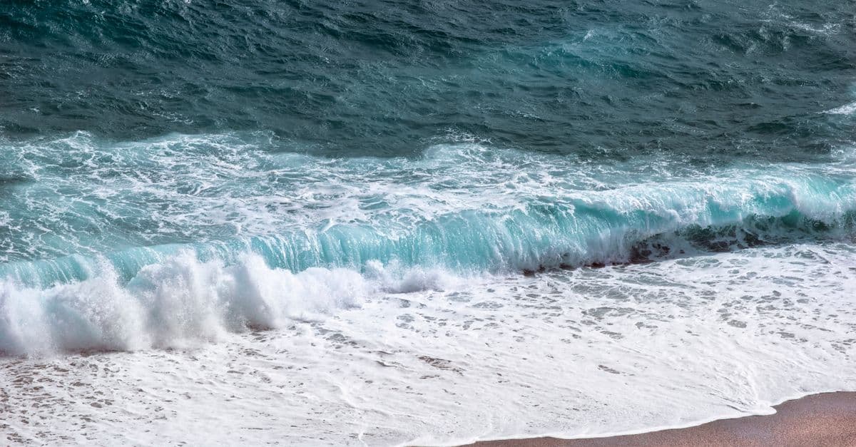 Imagen de recurso de la sección de actualidad: Temperaturas extremas en el Mediterráneo