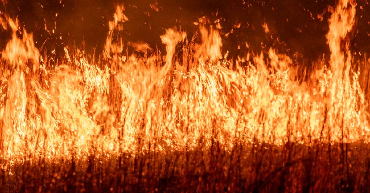 Imagen de recurso de la sección de actualidad: Ola de calor anticipada en la península: temperaturas cercanas a los 40 °C