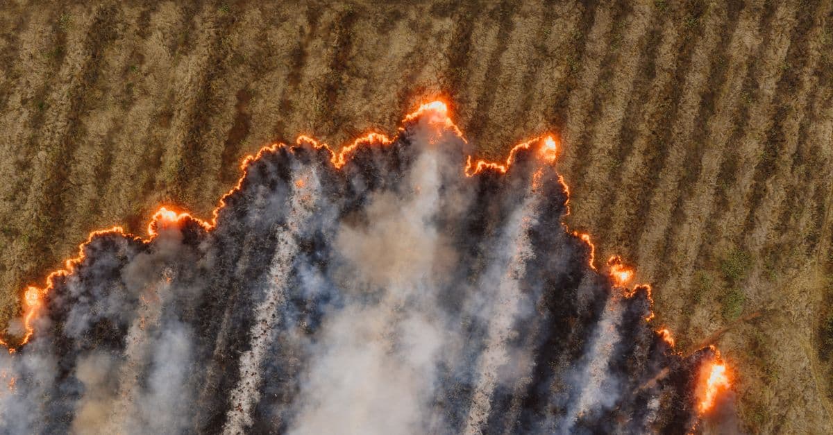 Imagen de recurso de la sección de actualidad: Incendios en verano: la normativa española en jaque tras varios incidentes